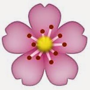 Meet your Posher, Aliyah